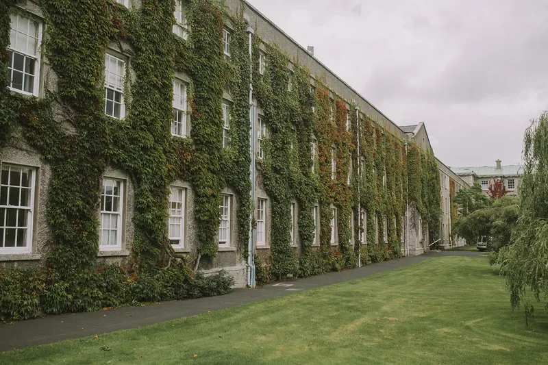An ivy-covered university campus building beside a green lawn
